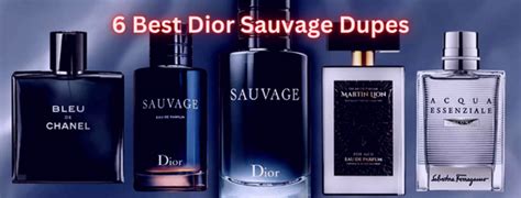 dupe for dior black tights|dior dupes for men.